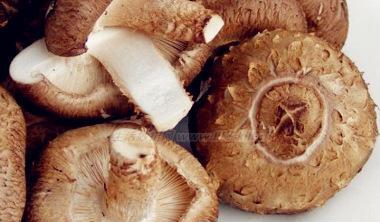 Cách điều trị nấm shiitake tươi khác nhau