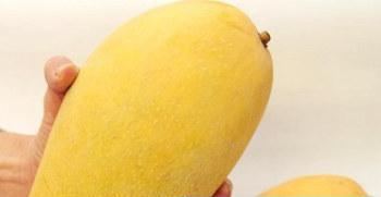 Làm thế nào để chọn Mango?